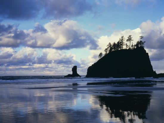 Premium Photographic Print, , large