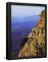 Essential Black