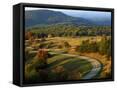 Canvas Black