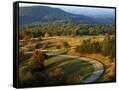 Canvas Black