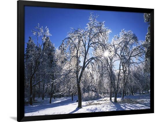 Photographic Print, , large