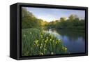 Canvas Black
