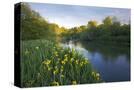 Stretched Canvas