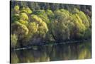 Stretched Canvas