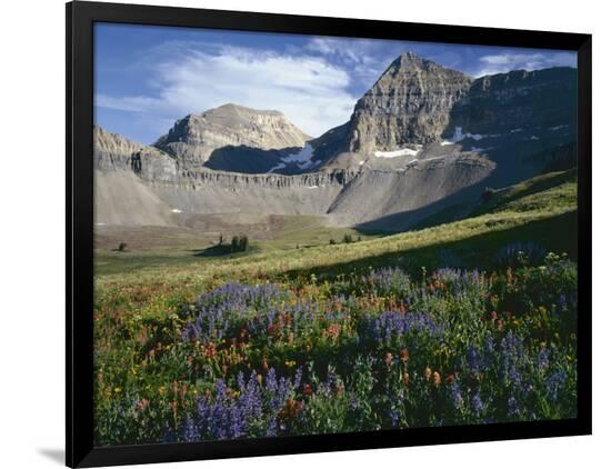 Premium Photographic Print, , large