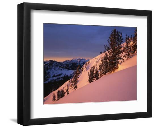Premium Photographic Print, , large