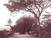 Papeetee Harbor, 1870s, Tahiti, Late 1800s-Charles Gustave Spitz-Photographic Print