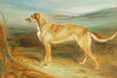 A Deerhound in a Landscape-Charles Hancock-Giclee Print