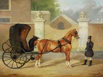 Gentlemen's Carriages: a Cabriolet, c.1820-30-Charles Hancock-Framed Premium Giclee Print