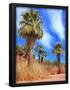 Essential Black