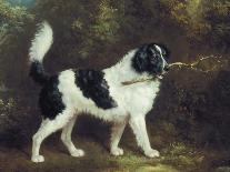 Nelson with a Terrier-Charles Henry Schwanfelder-Mounted Giclee Print