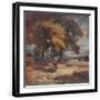 Black Frame