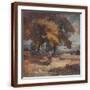 Brown Frame