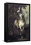 Charles I on Horseback-Sir Anthony Van Dyck-Framed Stretched Canvas