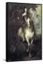 Charles I on Horseback-Sir Anthony Van Dyck-Framed Stretched Canvas