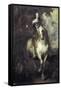 Charles I on Horseback-Sir Anthony Van Dyck-Framed Stretched Canvas