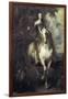 Charles I on Horseback-Sir Anthony Van Dyck-Framed Premium Giclee Print