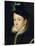 Charles IX (1550-74)-Francois Clouet-Stretched Canvas