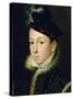 Charles IX (1550-74)-Francois Clouet-Stretched Canvas