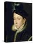 Charles IX (1550-74)-Francois Clouet-Stretched Canvas