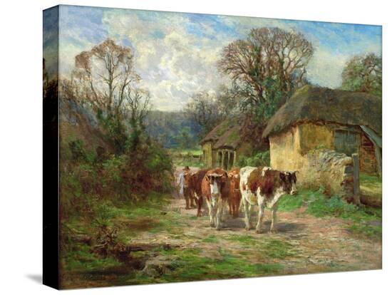 Stretched Canvas Print, , large