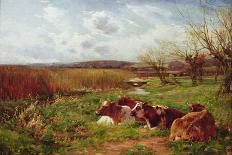Resting in the Field-Charles James Adams-Giclee Print