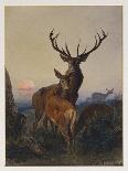 Red Deer in a Highland Landscape, 1872-Charles Jones-Framed Giclee Print