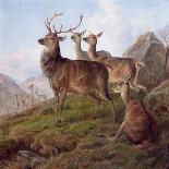 Red Deer in a Highland Landscape, 1872-Charles Jones-Framed Giclee Print