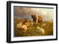 Black Frame