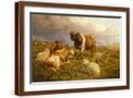 Brown Frame