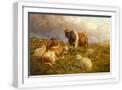White Frame
