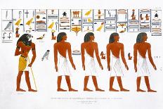 'Hieroglyphics from the Tombs of the Kings at Thebes, discovered by G Belzoni', 1820-1822-Charles Joseph Hullmandel-Giclee Print