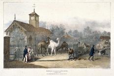 The Cambridge Coach Leaving the Nelson Inn, Belle Sauvage Yard, Ludgate Hill, London, 1818-Charles Joseph Hullmandel-Giclee Print