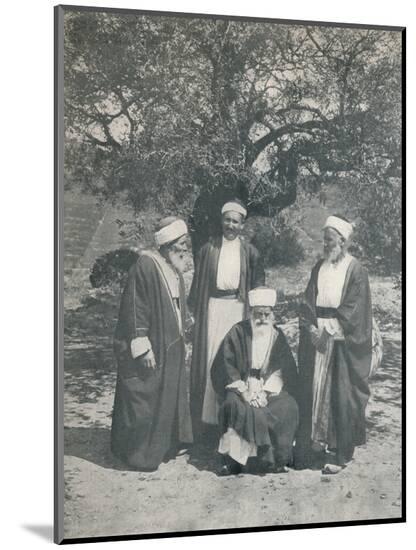 Photographic Print, , large