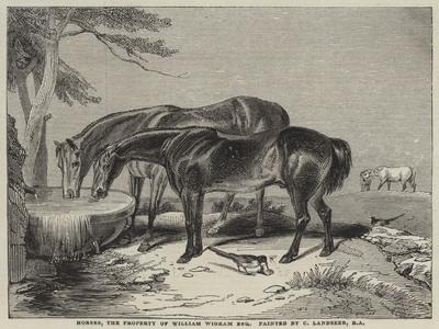 Horses, the Property of William Wigram, Esquire