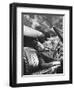 Charles Laughton, Arch of Triumph, 1948-null-Framed Photographic Print