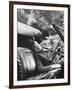 Charles Laughton, Arch of Triumph, 1948-null-Framed Photographic Print