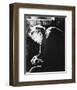 Charles Laughton-null-Framed Photo