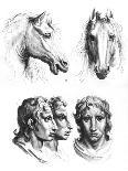 Similarities Between the Heads of a Horse and a Man-Charles Le Brun-Giclee Print