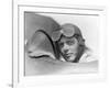 Charles Lindbergh, American Aviator-Science Source-Framed Giclee Print