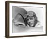 Charles Lindbergh, American Aviator-Science Source-Framed Giclee Print