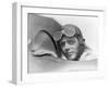 Charles Lindbergh, American Aviator-Science Source-Framed Giclee Print