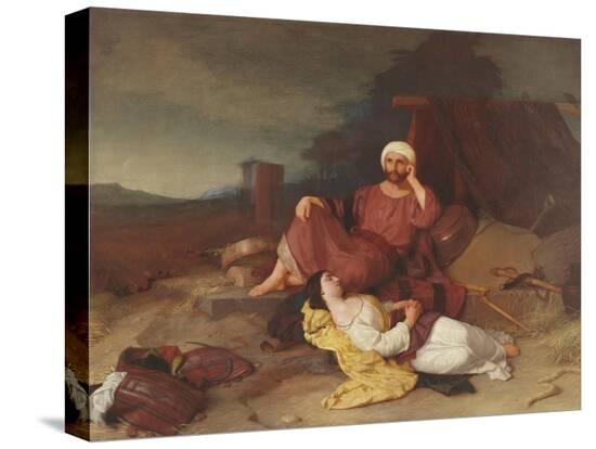 Stretched Canvas Print, , large