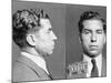 Charles 'Lucky' Luciano-null-Mounted Photographic Print