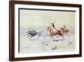 Brown Frame