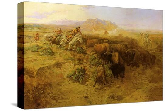 Stretched Canvas Print, , large