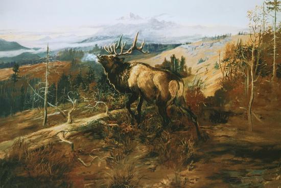 Art Print, , large