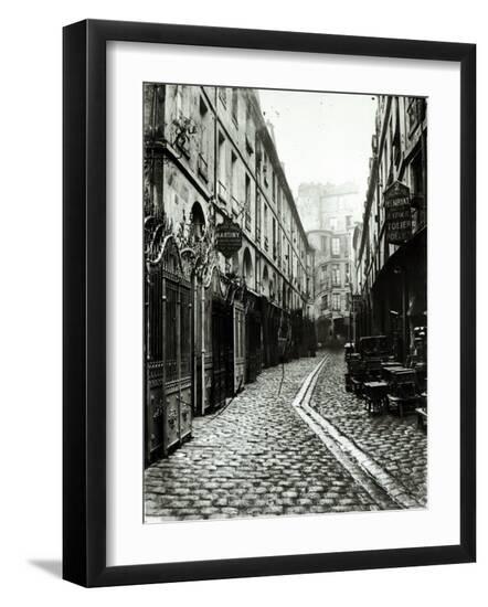 Premium Photographic Print, , large