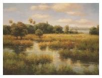 Southern Bayou-Charles Morton-Stretched Canvas