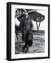 Charles Nungesser, WWI French Flying Ace-Science Source-Framed Giclee Print